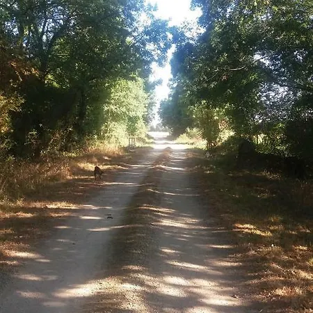 Les Cerisiers Lezay